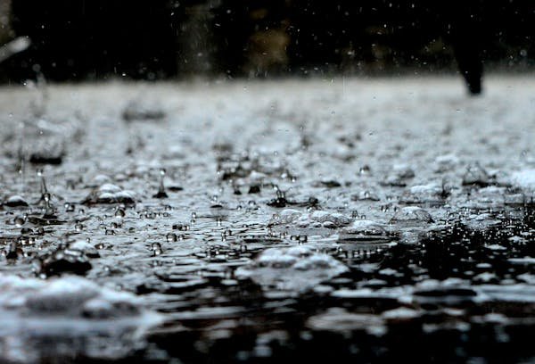 Récupérateur d'eau de pluie : comment optimiser votre installation ?
